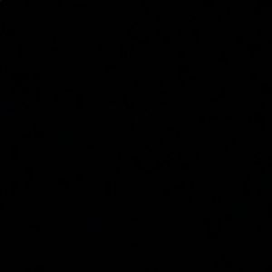 Meet your Posher, Bella